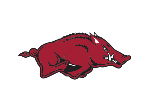 Arkansas Razorbacks - Rock 'Em Socks