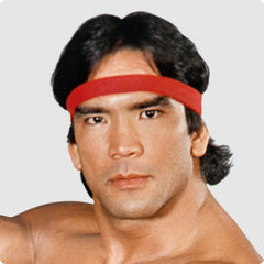 Ricky "The Dragon" Steamboat