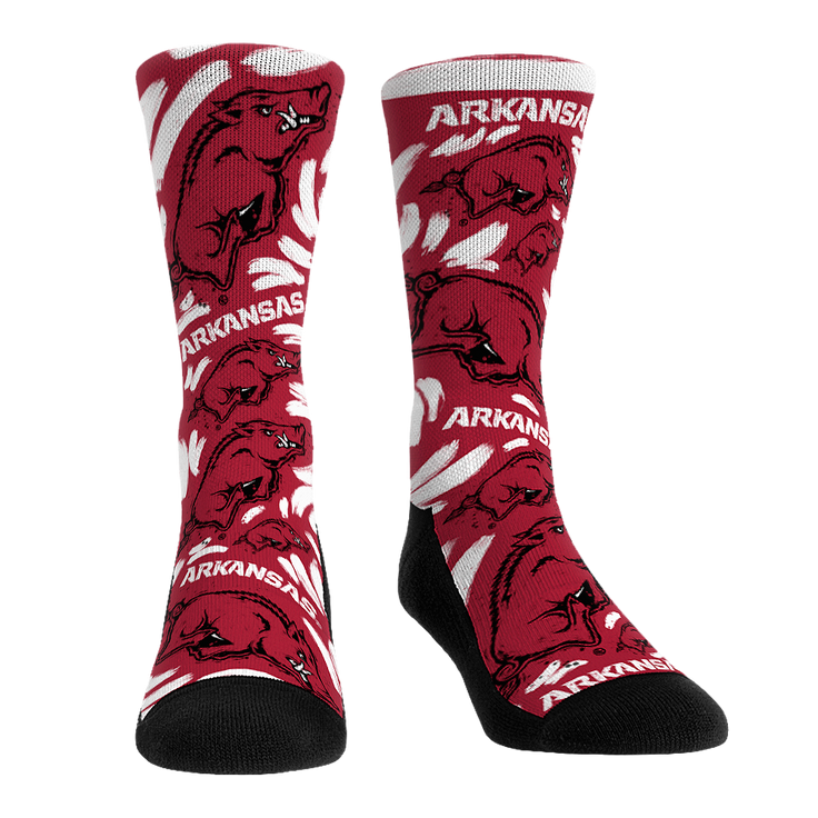Arkansas Razorbacks - Logo Paint – Product image