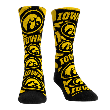 Iowa Hawkeyes - Logo Paint