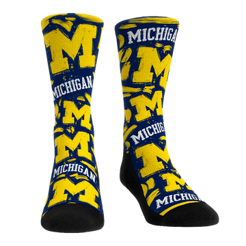 Michigan Wolverines - Logo Paint