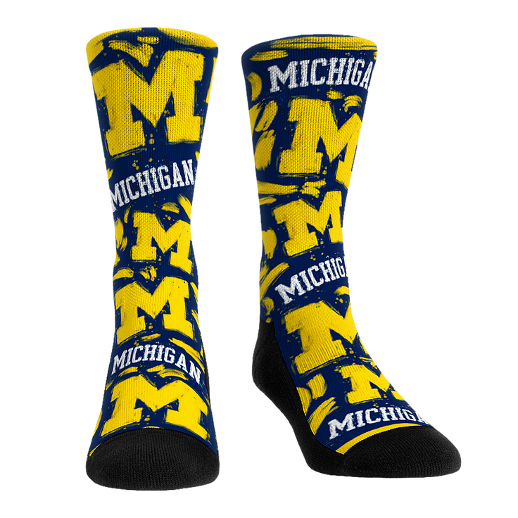 Michigan Wolverines - Logo Paint – Product image