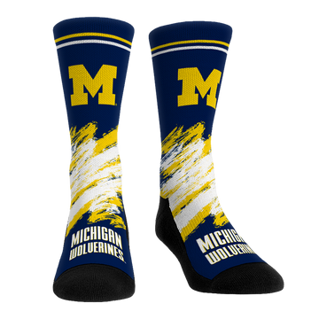 Michigan Wolverines - Throwback Paint