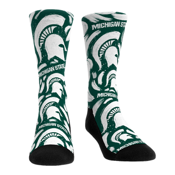 Michigan State Spartans - Logo Paint