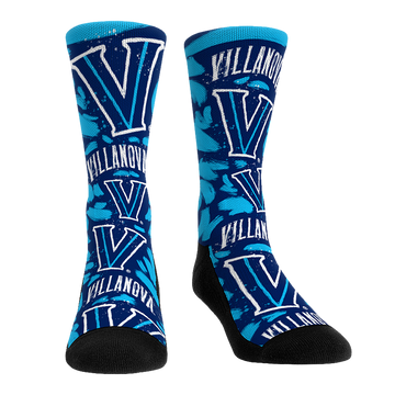 Villanova Wildcats - Logo Paint