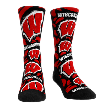 Wisconsin Badgers - Logo Paint