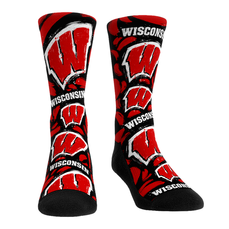 Wisconsin Badgers - Logo Paint – Product image