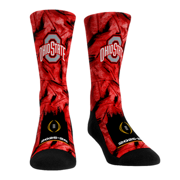 Ohio State Buckeyes - CFP 2025-2026 - Playoff Paint