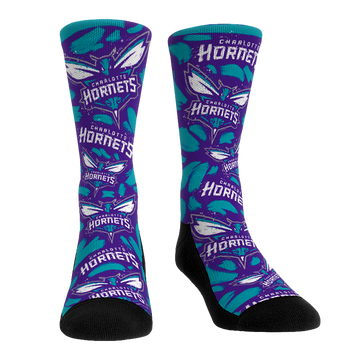 Charlotte Hornets - Logo Paint