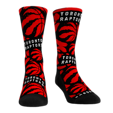 Toronto Raptors - Logo Paint