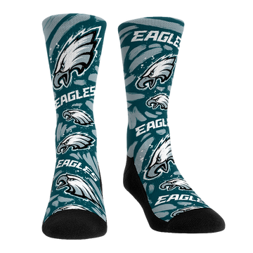 Philadelphia Eagles - Logo Paint