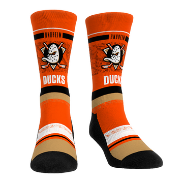 Anaheim Ducks - Franchise