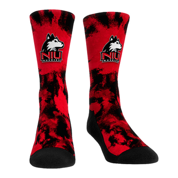 Northern Illinois Huskies - Paint