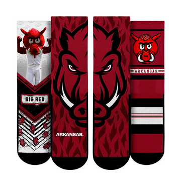 Arkansas Razorbacks - Mascot 3-Pack