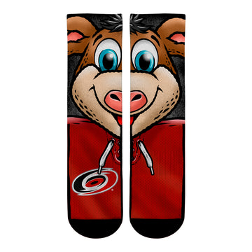 Carolina Hurricanes - Split Face Mascot