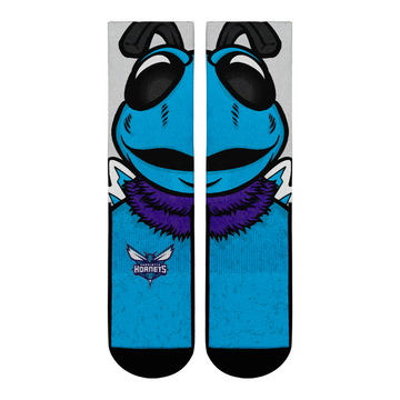 Charlotte Hornets - Split Face Mascot