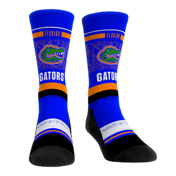 Florida Gators - Franchise