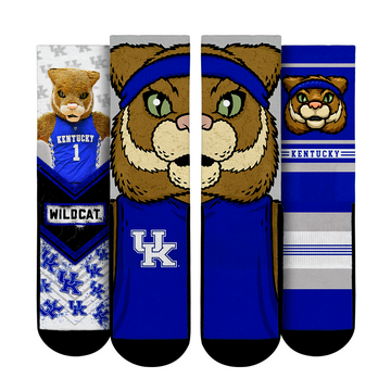Kentucky Wildcats - Mascot 3-Pack