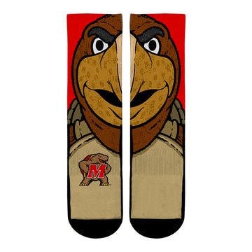 Maryland Terrapins - Testudo Mascot