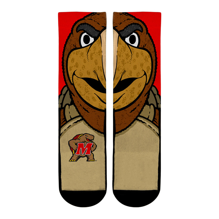 Maryland Terrapins - Testudo Mascot - {{variant_title}}