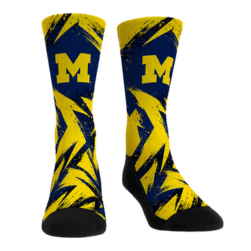 Michigan Wolverines - Game Paint