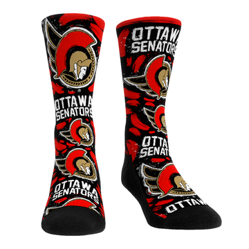 Ottawa Senators - Logo Paint