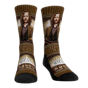 Harry Potter - Sirius Black  - Hero Pose