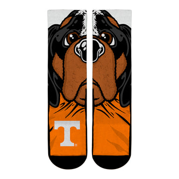 Tennessee Volunteers - Smokey Mascot