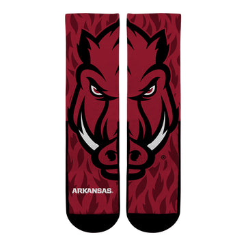 Arkansas Razorbacks - Mascot