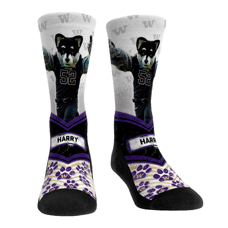 Washington Huskies - Mascot Walkout - {{variant_title}}