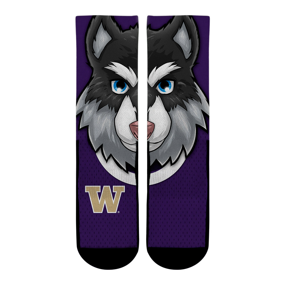 Washington Huskies Socks - Rock 'Em Socks - Harry the Husky Mascot Crew