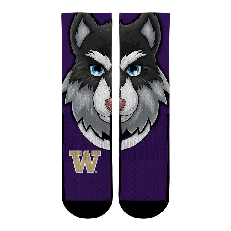 Washington Huskies - Harry the Husky Mascot - {{variant_title}}